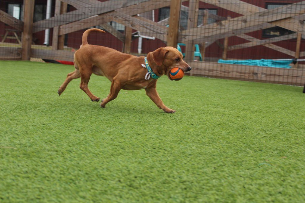 Oscar Mayer - Photo 3