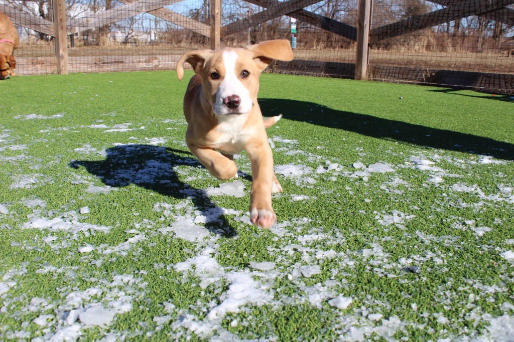 Lazy Susan - Photo 4