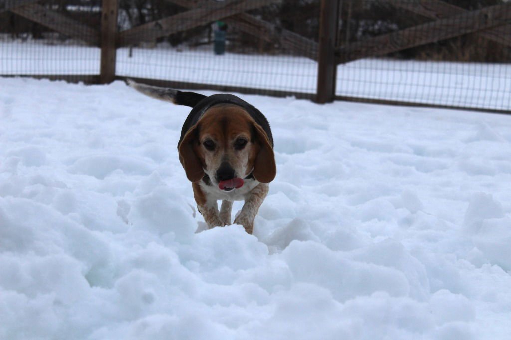 Tootsie Roll - Photo 3