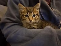 Butterfinger - Photo 4