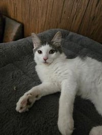 Theodore - Photo 3