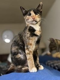 Bonnie - Photo 1