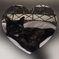 Bella the torti - Photo 4