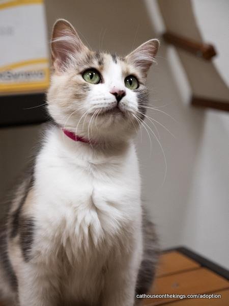 Delilah Image