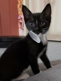 Binky - Photo 3