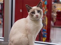 Fabio - Photo 2