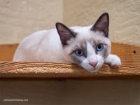 Fabio - Photo 1