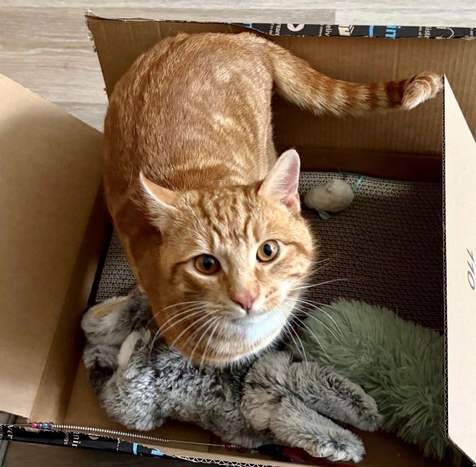 Reddington - Photo 3