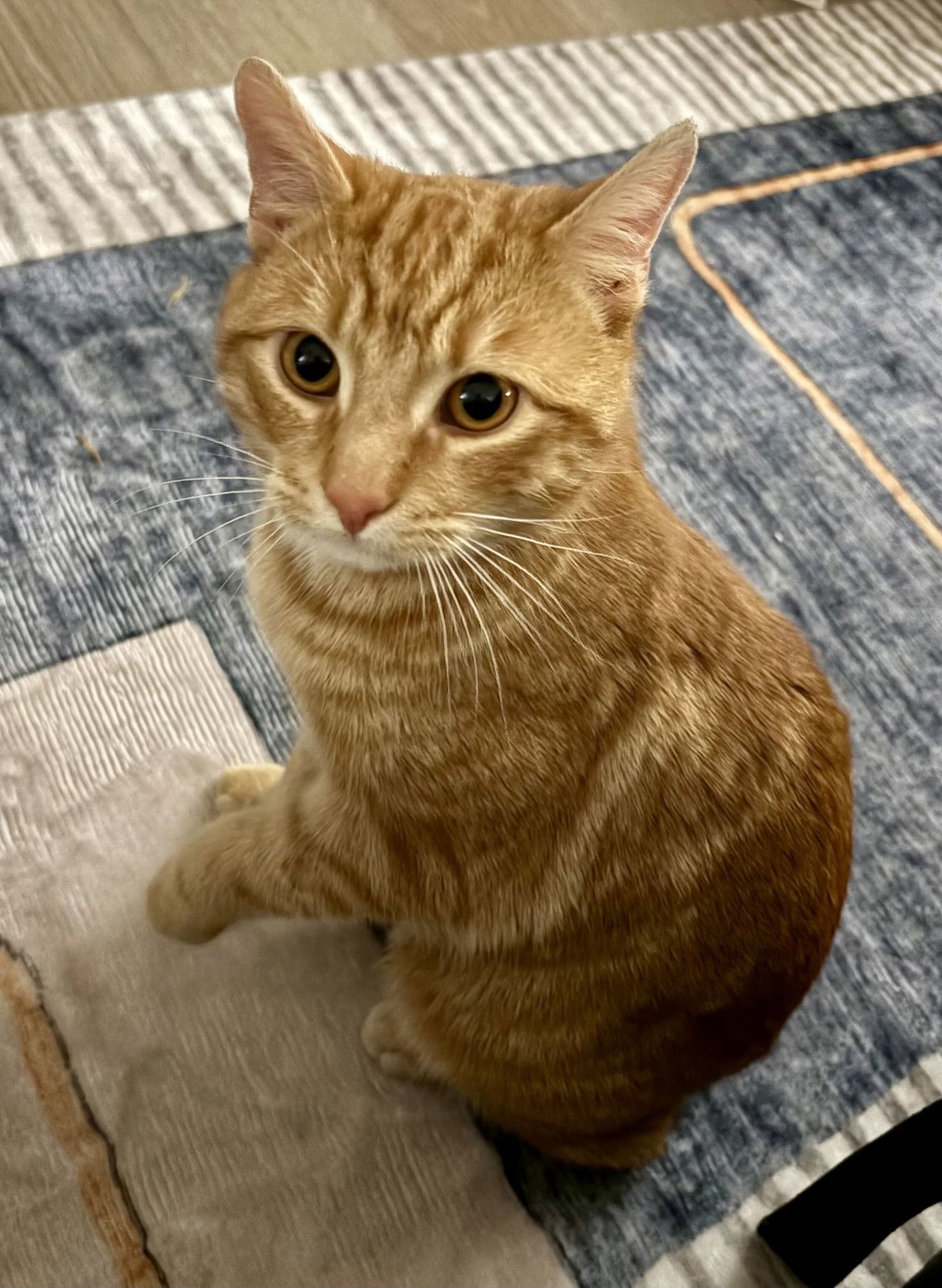 Reddington - Photo 5