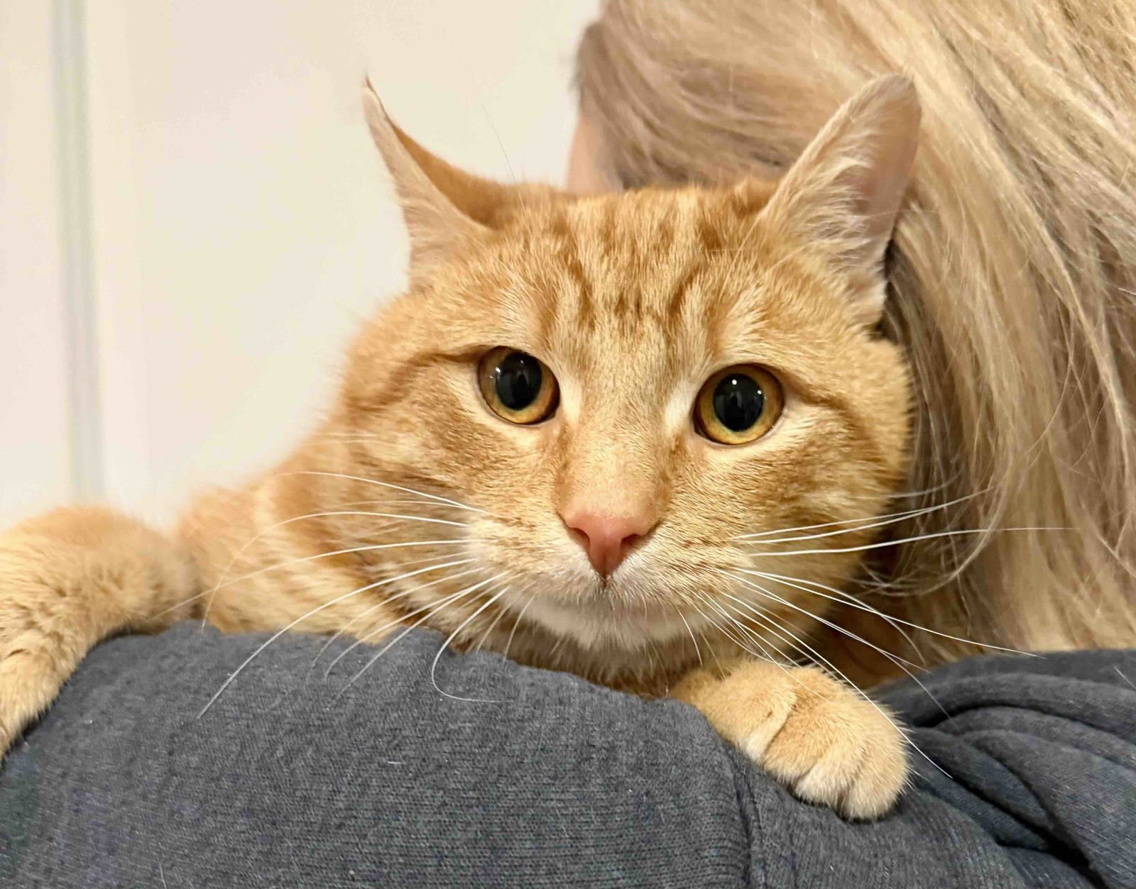 Reddington - Photo 6