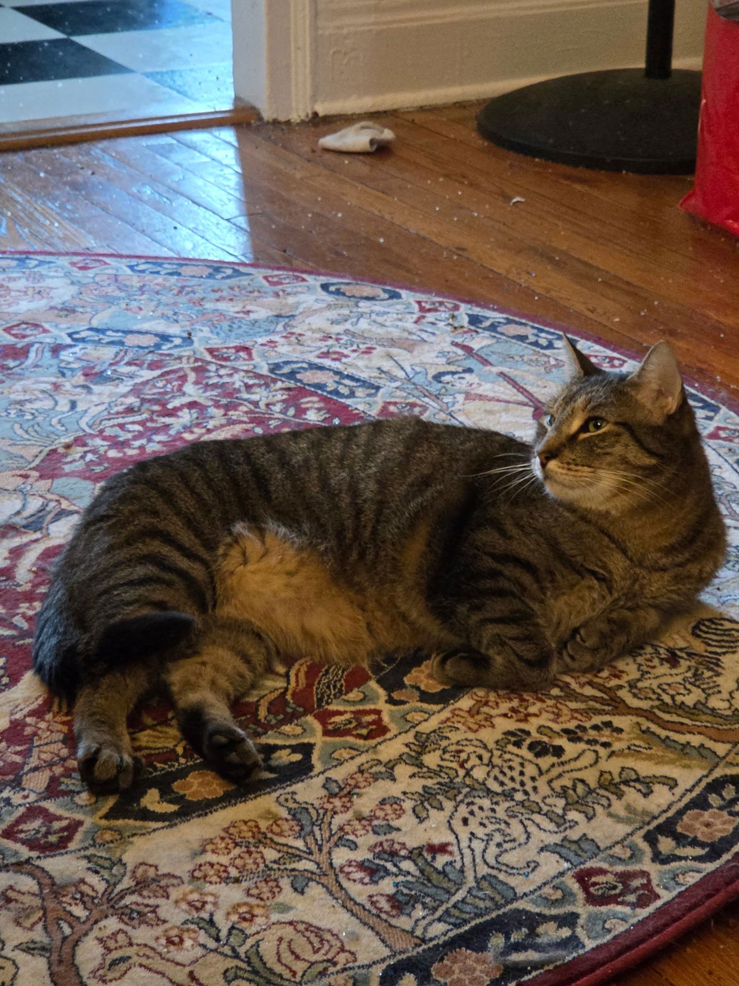 Bernie Smokes - Photo 4