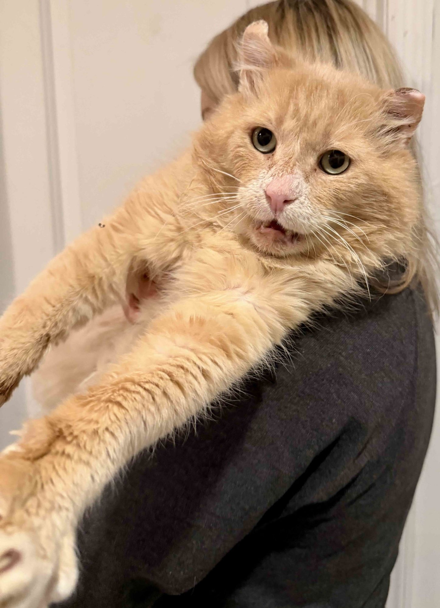 Colonel Mustard - Photo 3