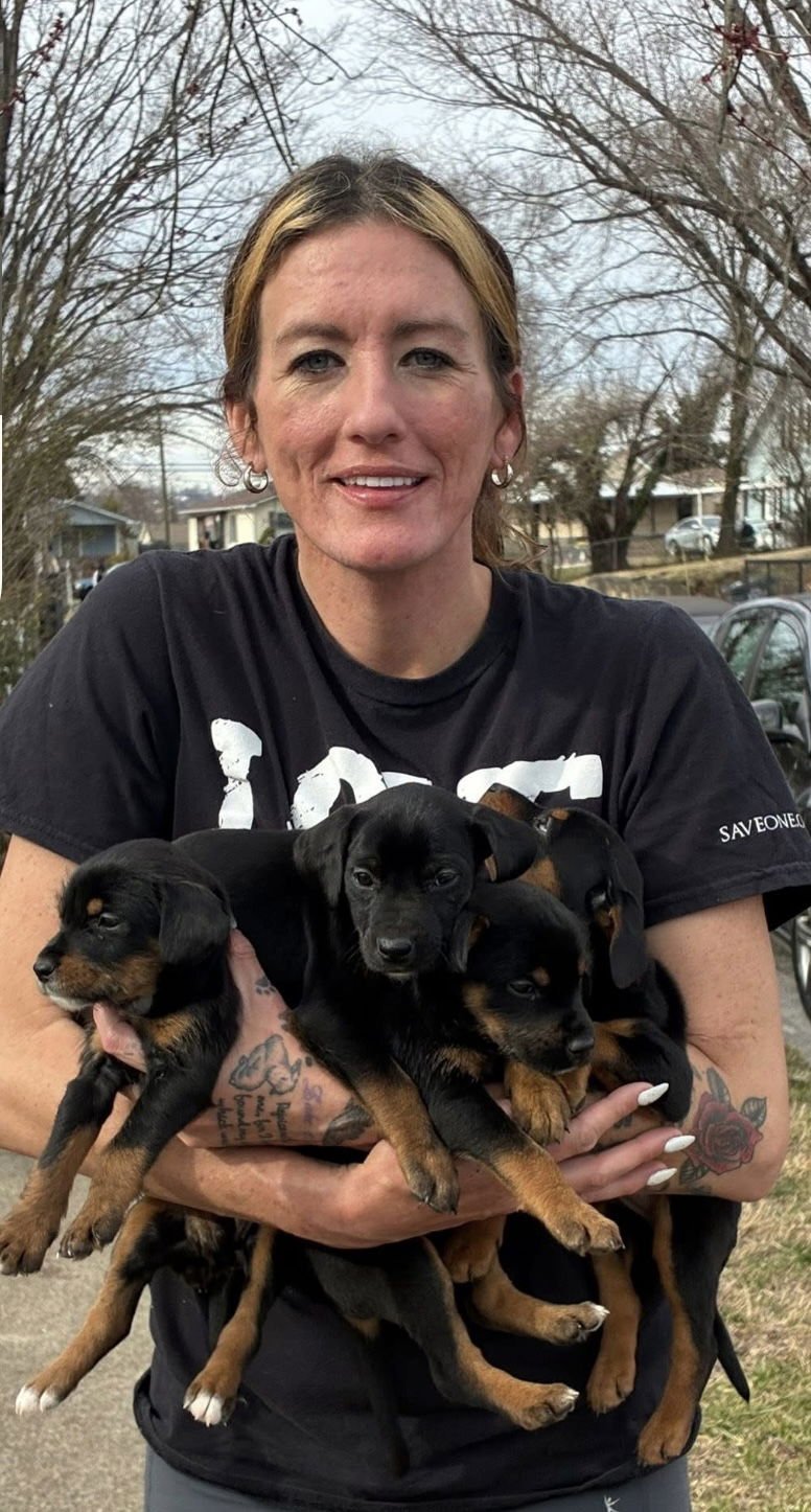 The Canine Coven “Myrtle” in foster - Photo 4