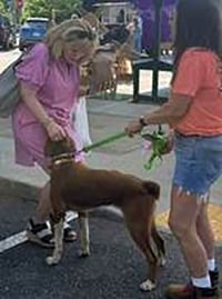 Copper - Photo 4