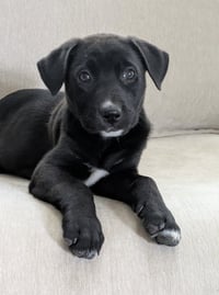 Penelope - Photo 1