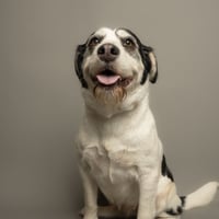 Bonnie - Photo 1