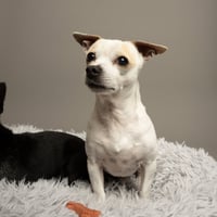 Chiqui - Photo 1