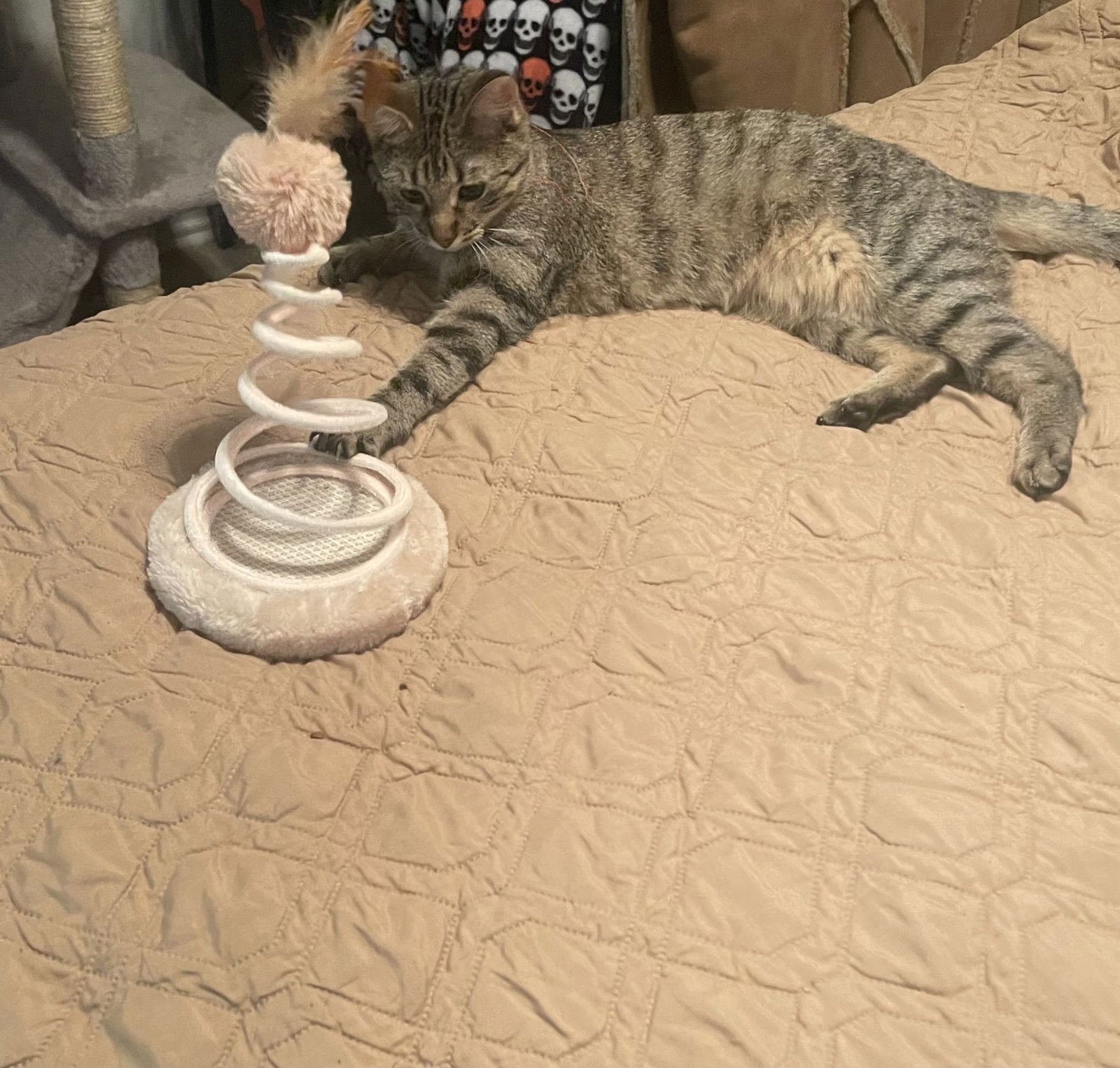 Tinkerbell - Photo 3