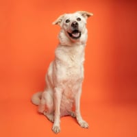 Sally - Photo 1