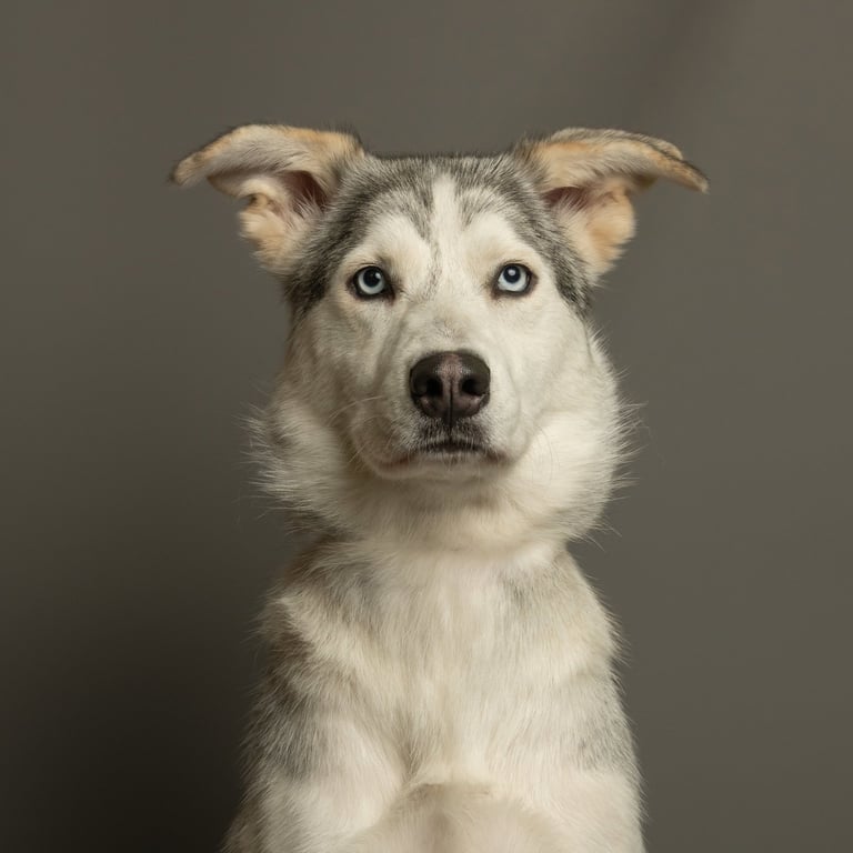 Elsa Image