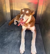 Macchi - Photo 1