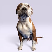 June Bug - Photo 1