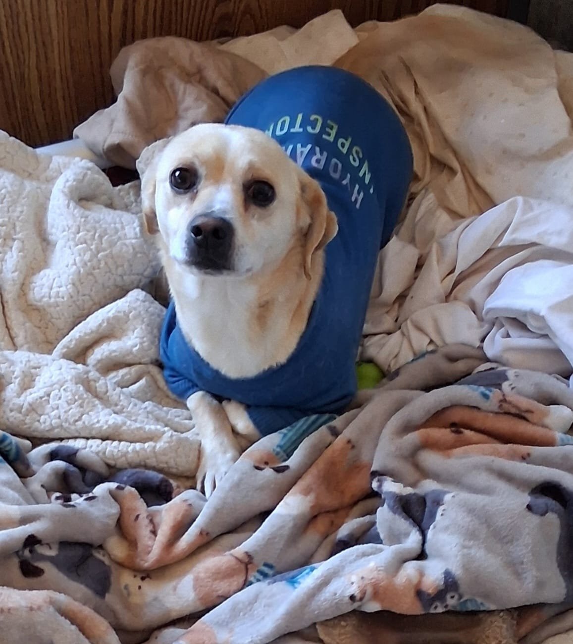 Felix & Franklin - Photo 3