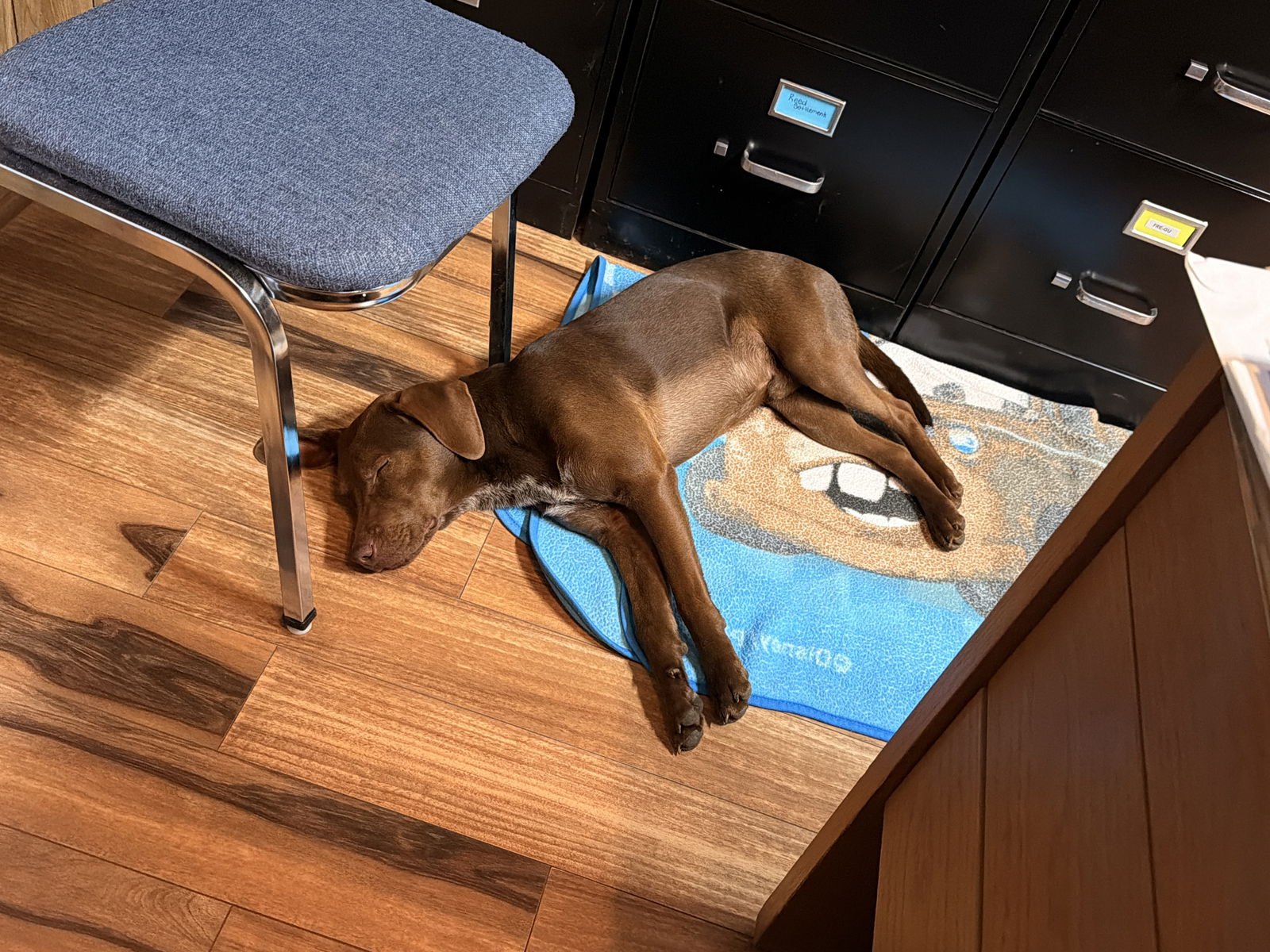 Buddy Ridgewood - Photo 3