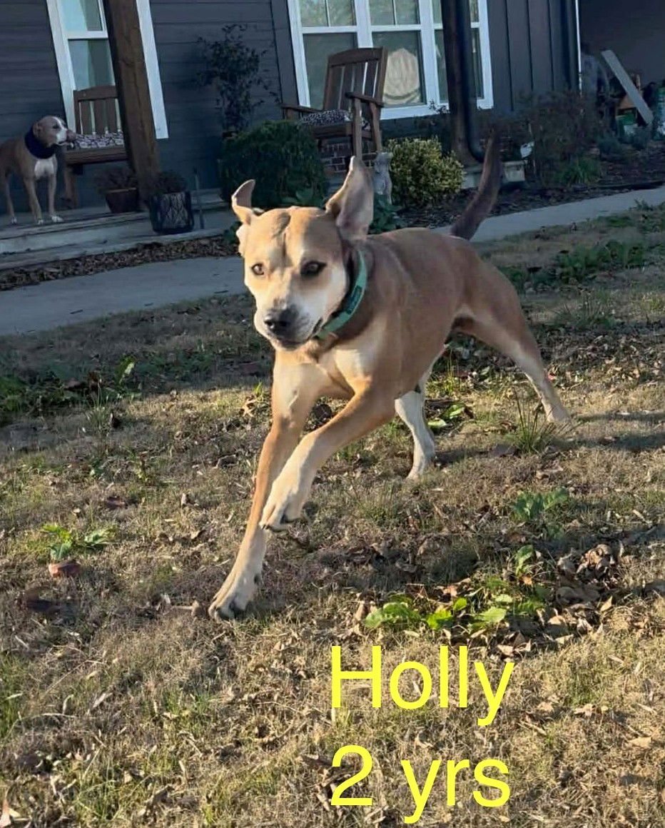 Holly *LOCAL* - Photo 3