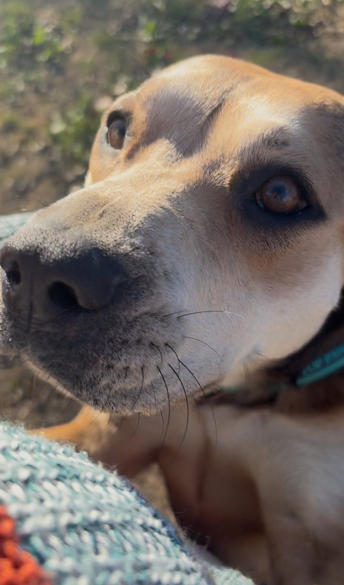 Holly *LOCAL* - Photo 7