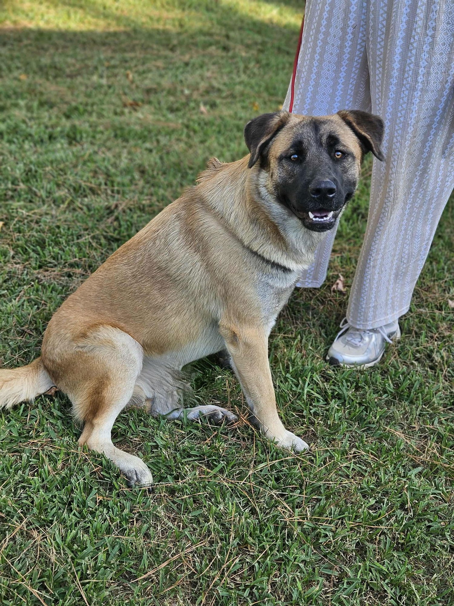 Brewski  *LOCAL* - Photo 11