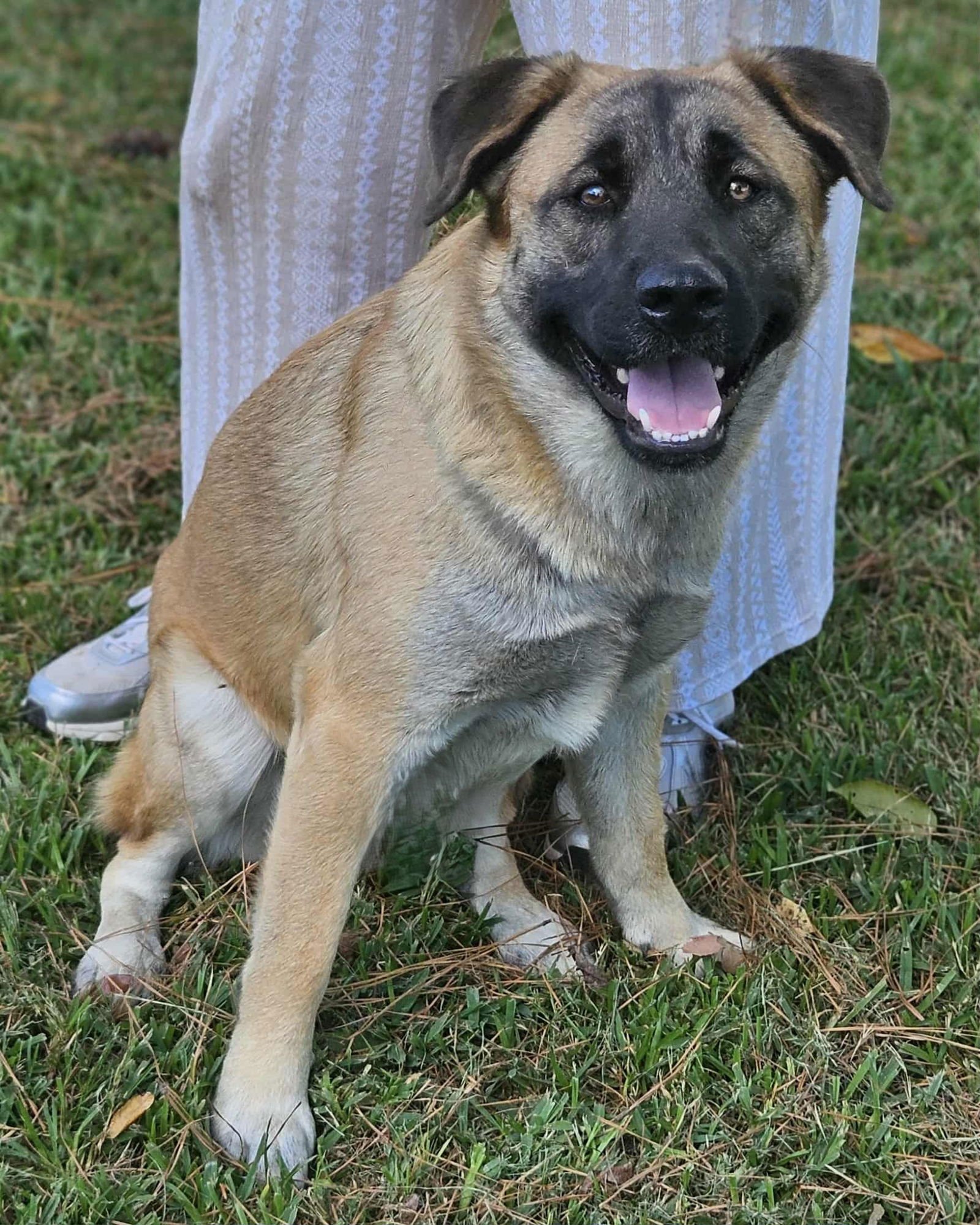 Brewski  *LOCAL* - Photo 13