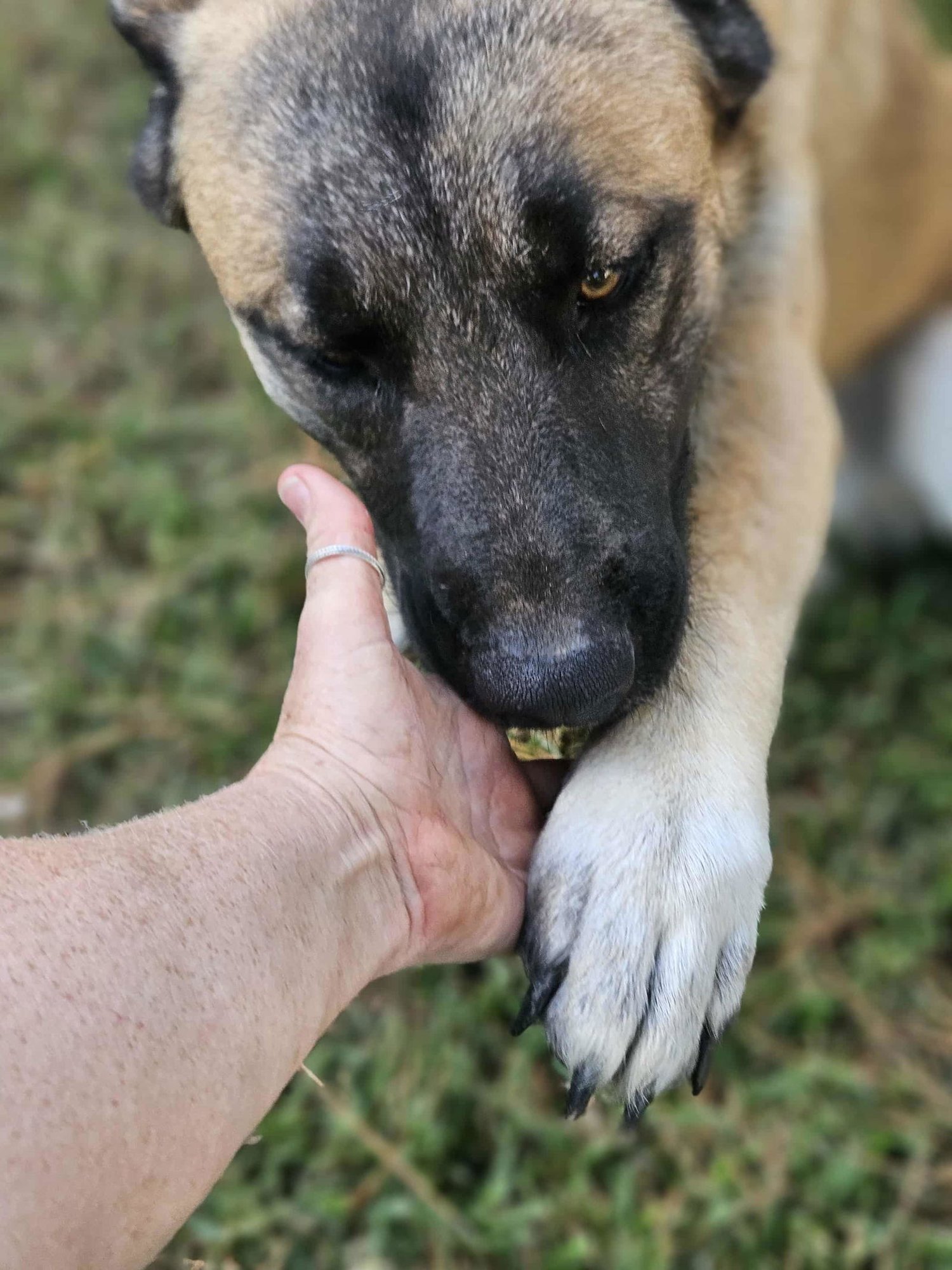 Brewski  *LOCAL* - Photo 14