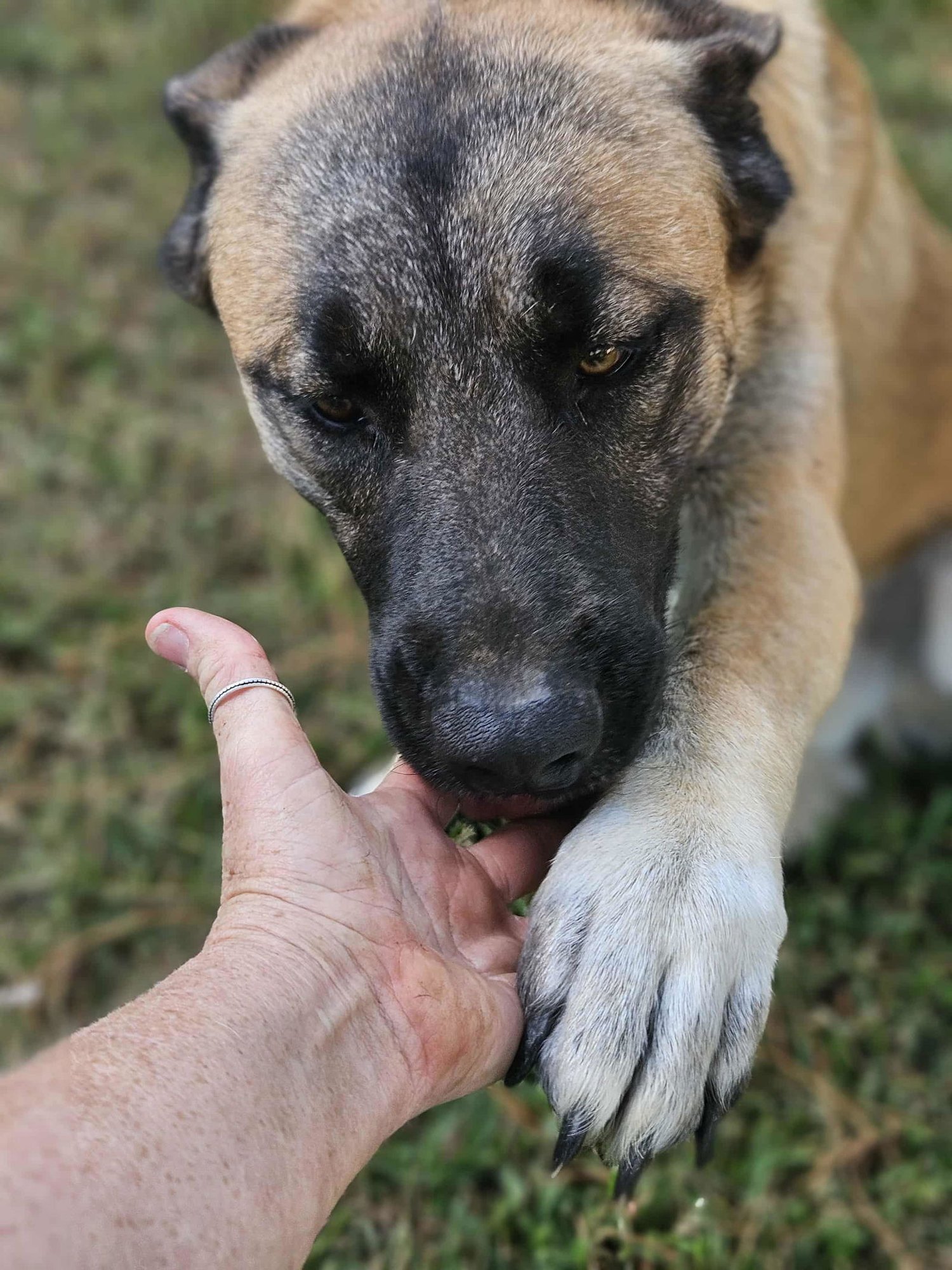 Brewski  *LOCAL* - Photo 15