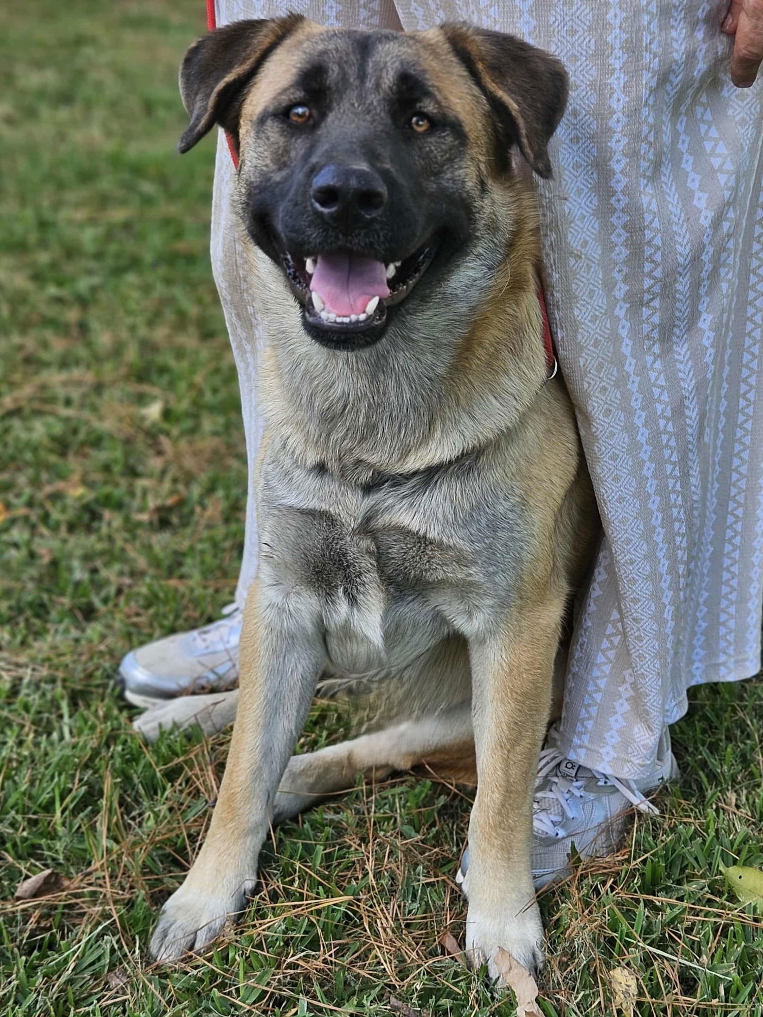 Brewski  *LOCAL* - Photo 16