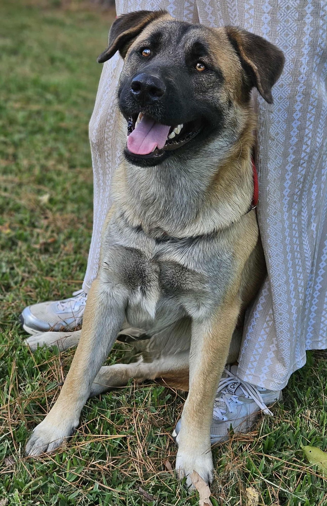 Brewski  *LOCAL* - Photo 17