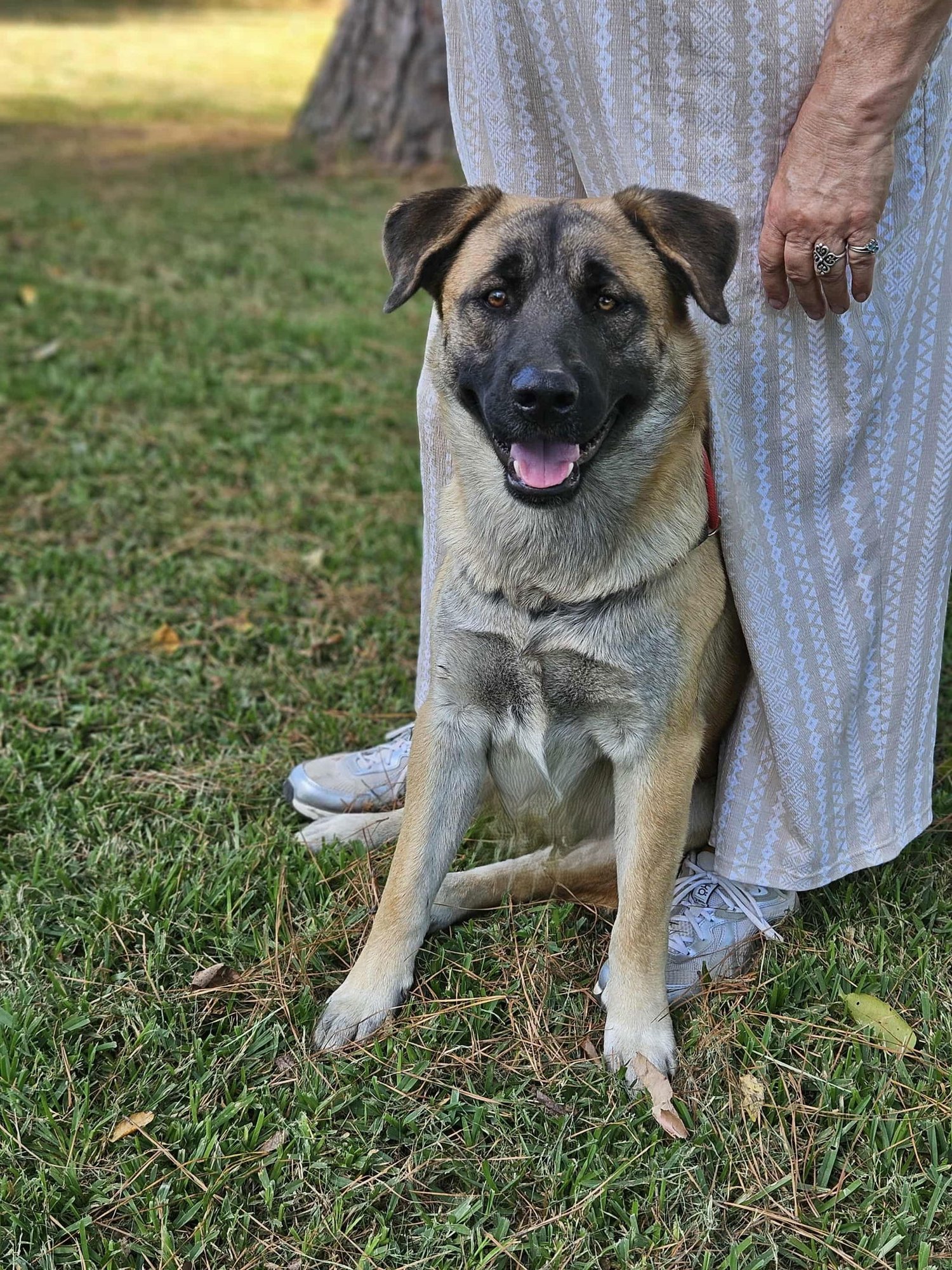 Brewski  *LOCAL* - Photo 18