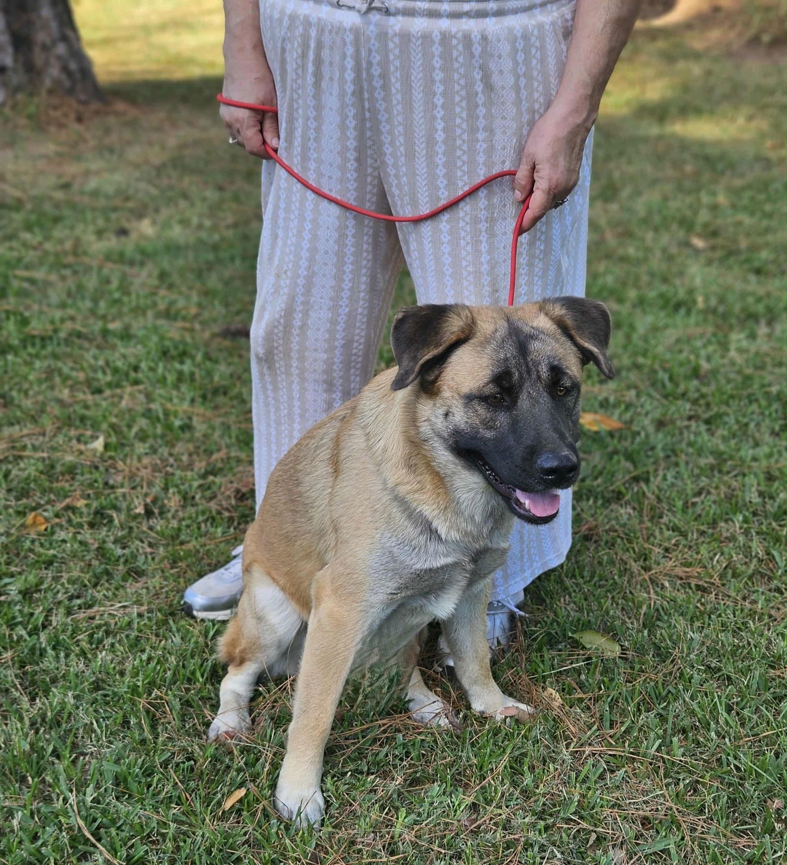 Brewski  *LOCAL* - Photo 19