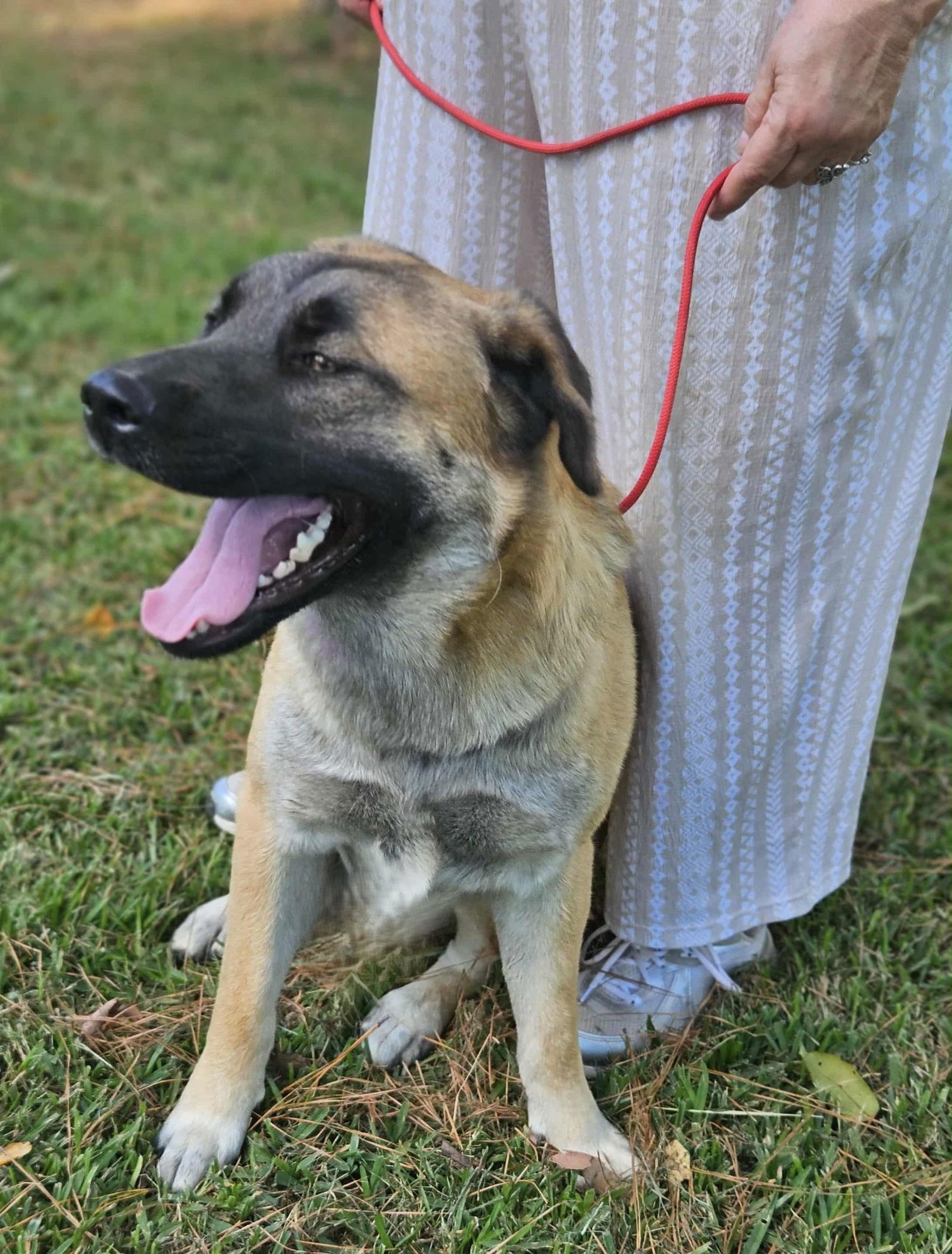 Brewski  *LOCAL* - Photo 20