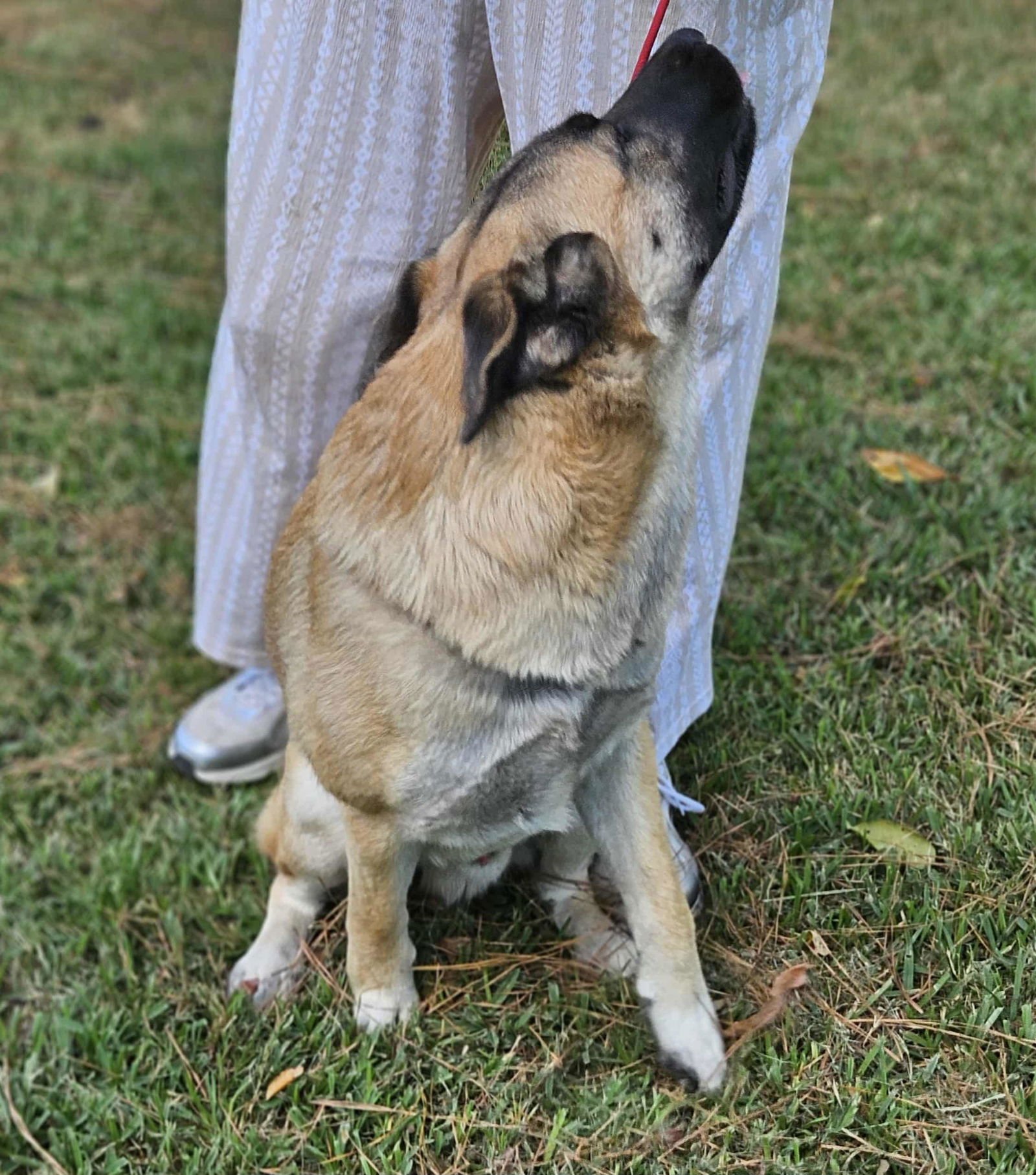 Brewski  *LOCAL* - Photo 21