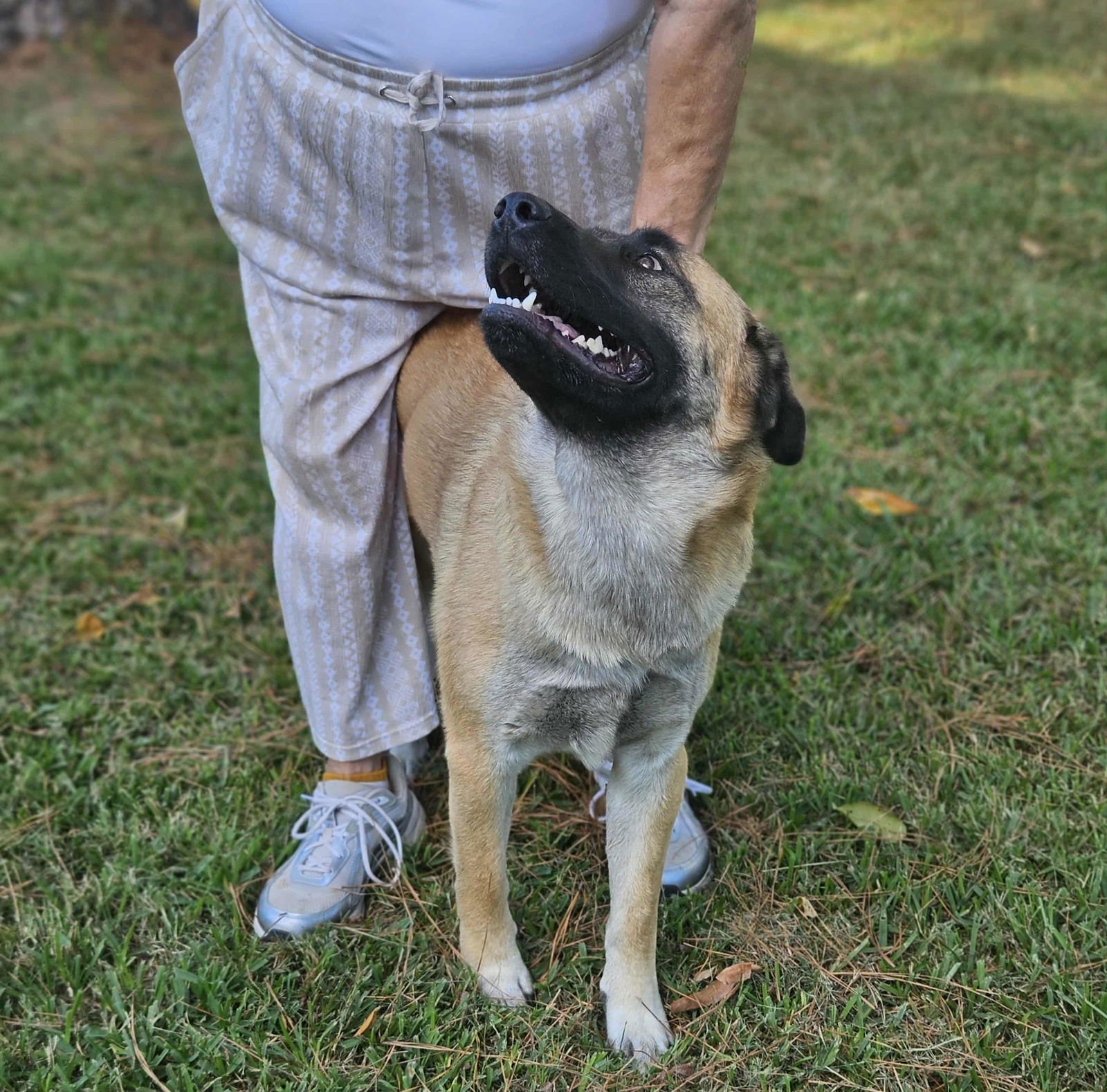 Brewski  *LOCAL* - Photo 22