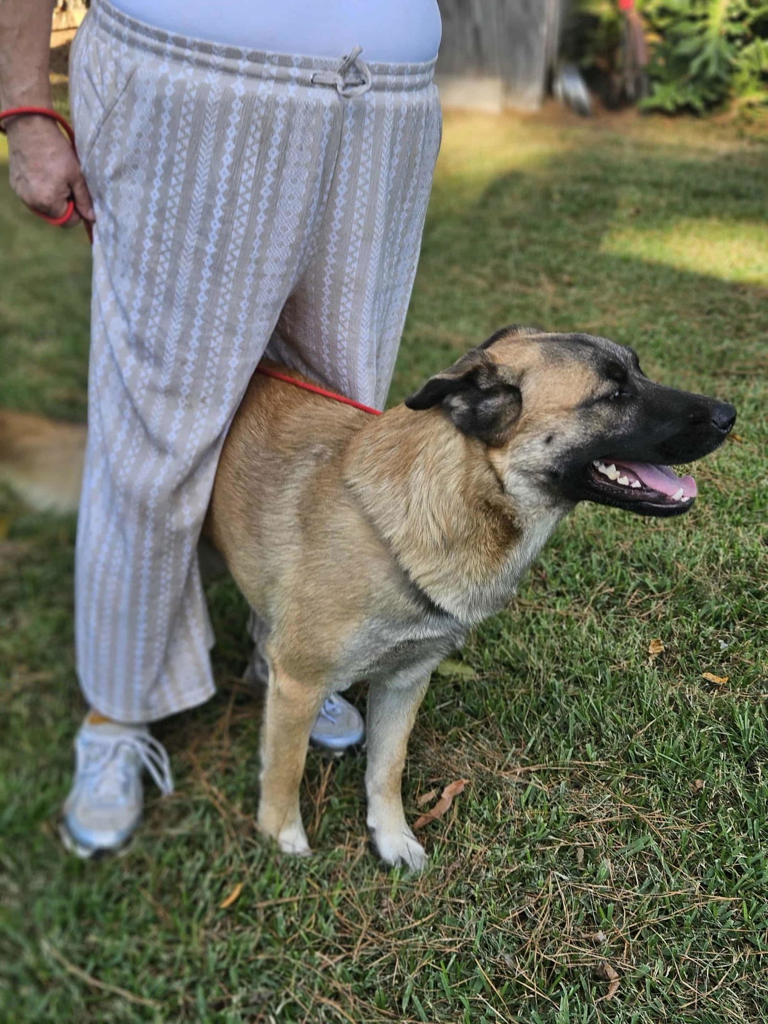 Brewski  *LOCAL* - Photo 23