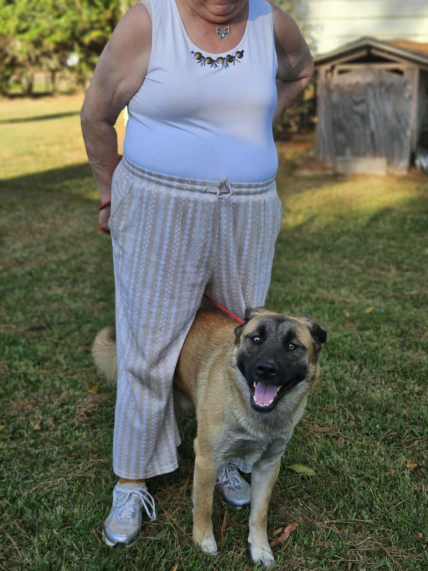 Brewski  *LOCAL* - Photo 24