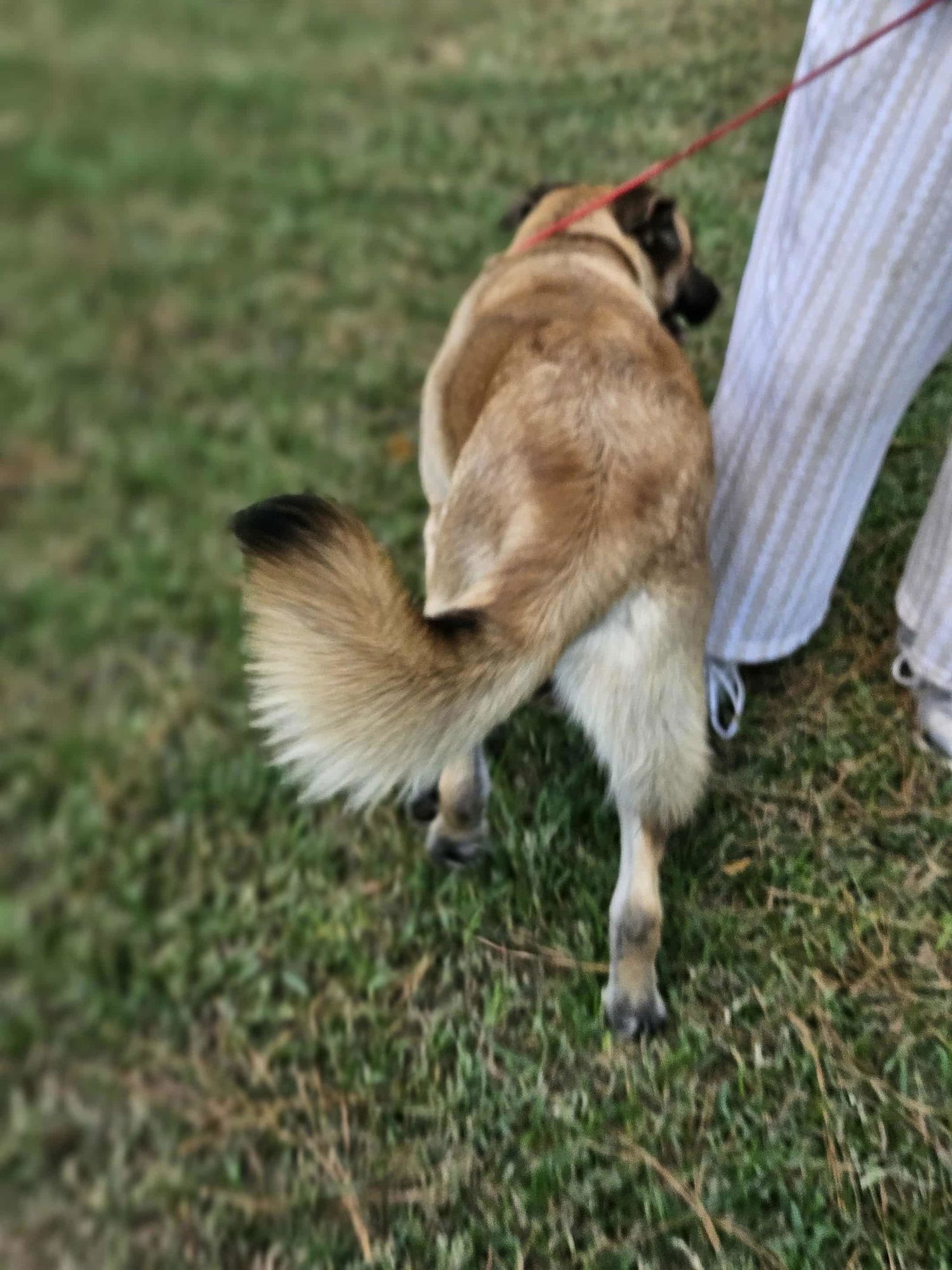 Brewski  *LOCAL* - Photo 25