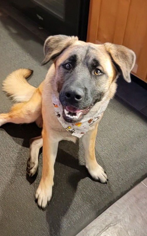 Brewski  *LOCAL* - Photo 4