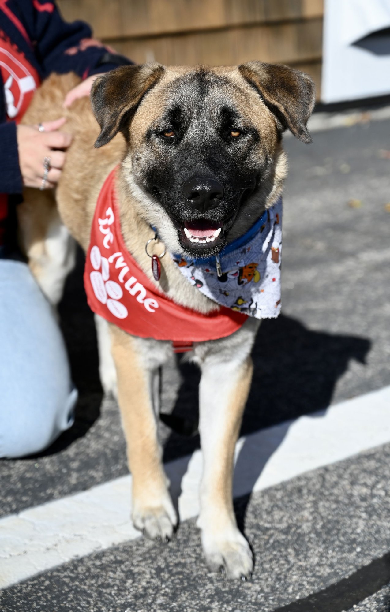 Brewski  *LOCAL* - Photo 5