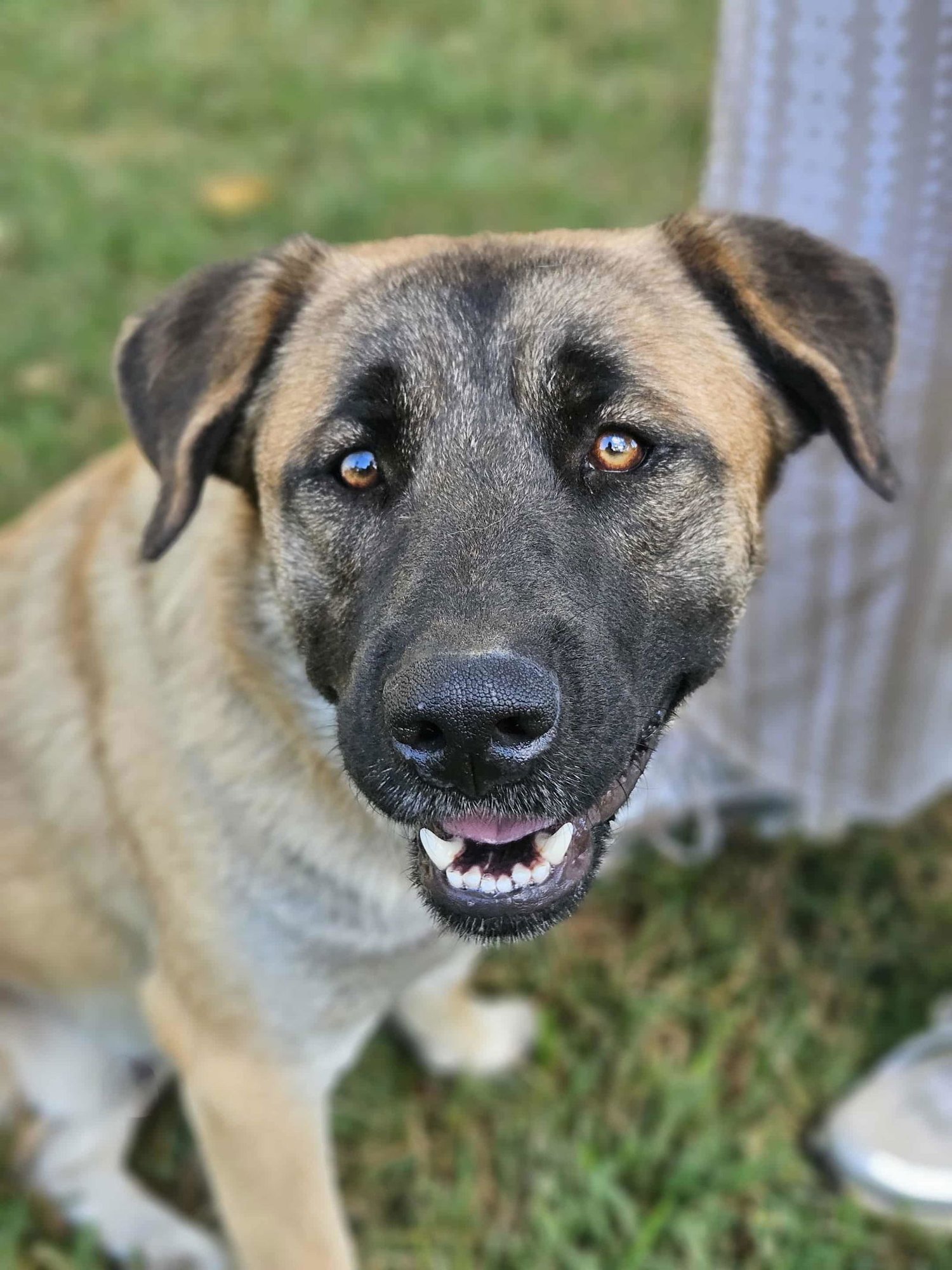 Brewski  *LOCAL* - Photo 6