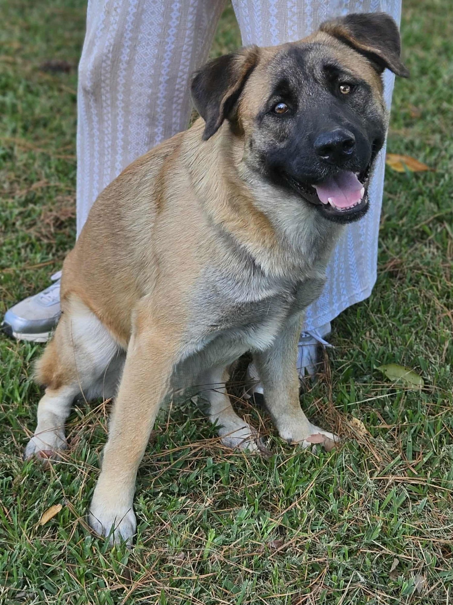 Brewski  *LOCAL* - Photo 7