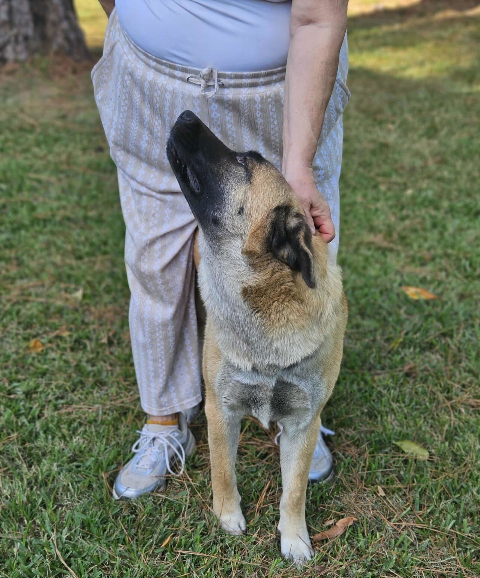 Brewski  *LOCAL* - Photo 8