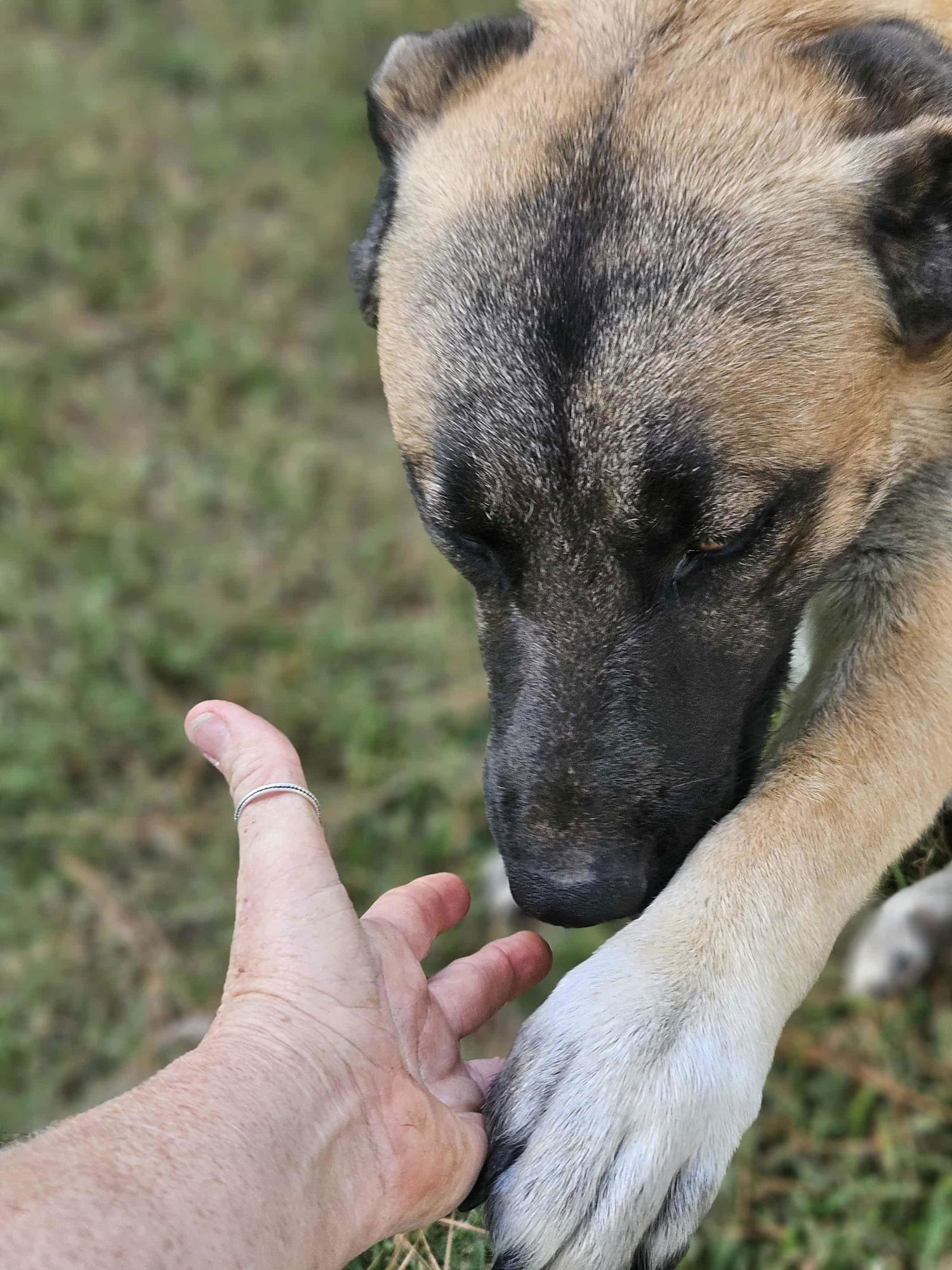 Brewski  *LOCAL* - Photo 9